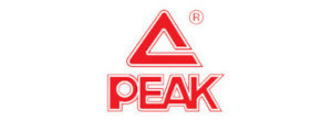 PEAK logosq3